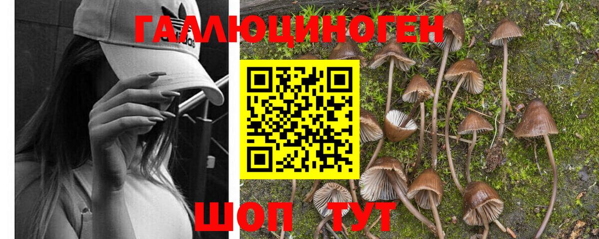 Галлюциногенные грибы мицелий Вятские Поляны