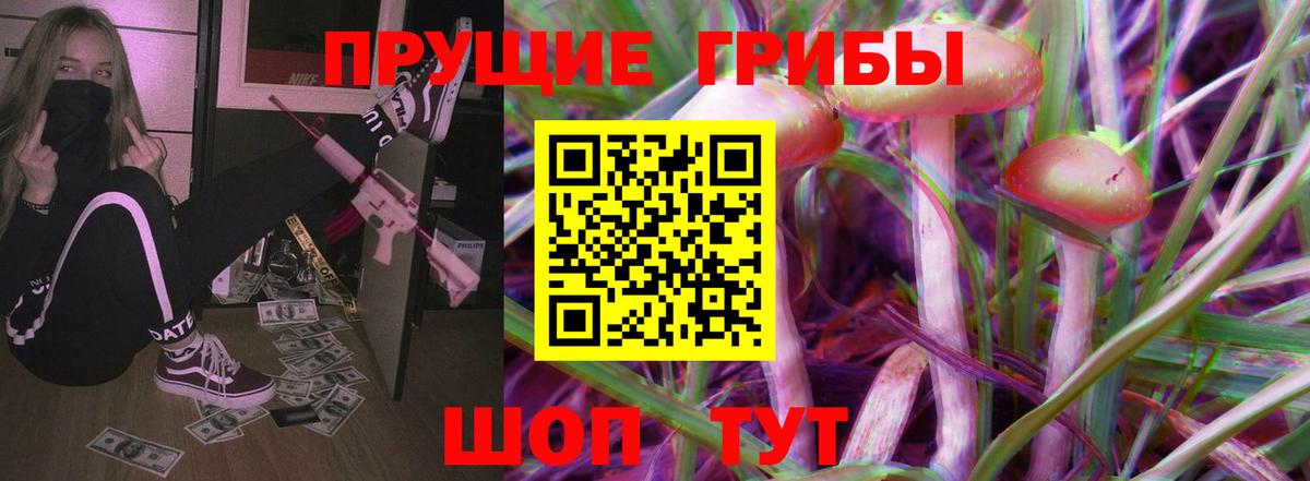 Вятские Поляны  Галлюциногенные грибы Psilocybine cubensis  Вход с VPN 